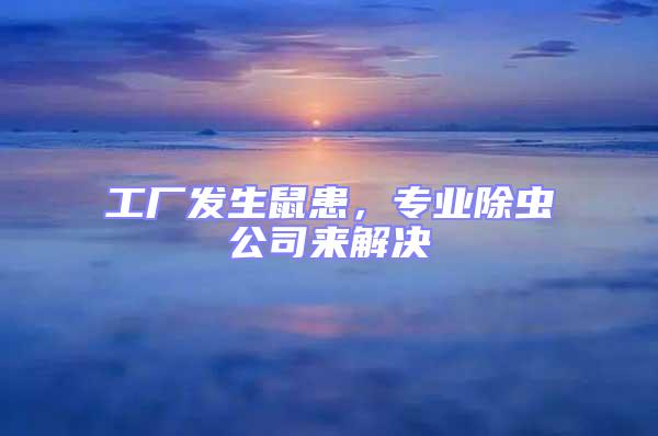 工廠發生鼠患,專業除蟲公司來解決