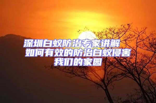 深圳白蟻防治專家講解  如何有效的防治白蟻侵害我們的家園