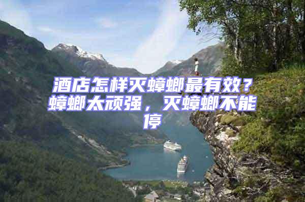 酒店怎樣滅蟑螂最有效？蟑螂太頑強(qiáng)，滅蟑螂不能停