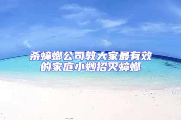 殺蟑螂公司教大家最有效的家庭小妙招滅蟑螂