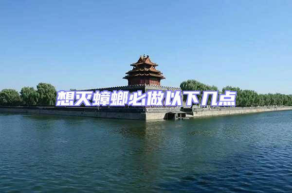 想滅蟑螂必做以下幾點