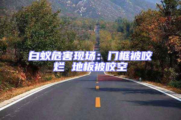 白蟻危害現(xiàn)場：門框被咬爛 地板被咬空