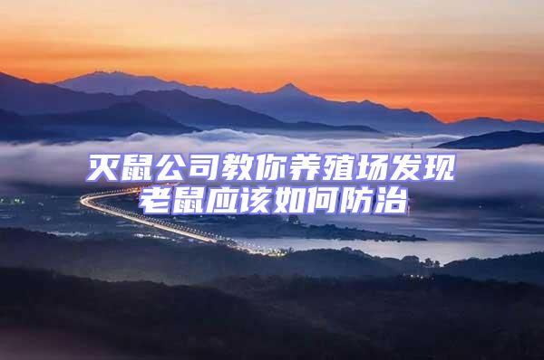 滅鼠公司教你養(yǎng)殖場(chǎng)發(fā)現(xiàn)老鼠應(yīng)該如何防治