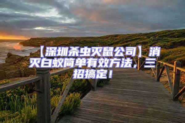 【深圳殺蟲滅鼠公司】消滅白蟻簡(jiǎn)單有效方法，三招搞定！