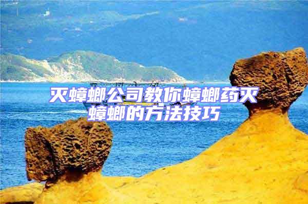 滅蟑螂公司教你蟑螂藥滅蟑螂的方法技巧