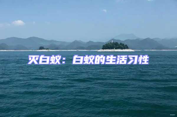 滅白蟻:白蟻的生活習(xí)性