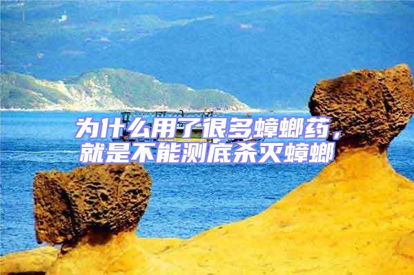 為什么用了很多蟑螂藥，就是不能測底殺滅蟑螂