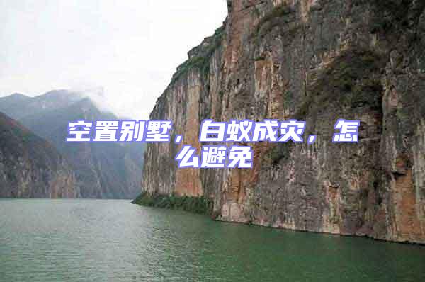 空置別墅，白蟻成災，怎么避免