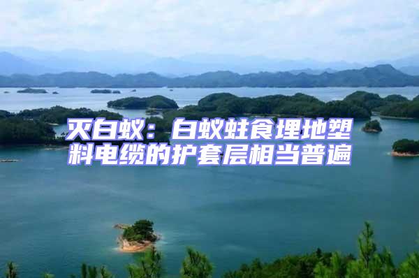 滅白蟻:白蟻蛀食埋地塑料電纜的護套層相當普遍