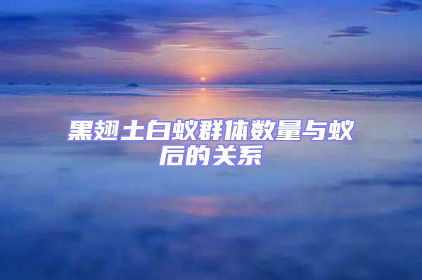 黑翅土白蟻群體數量與蟻后的關系