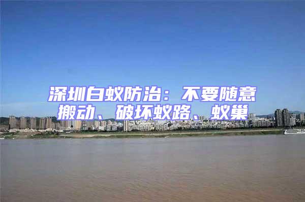 深圳白蟻防治：不要隨意搬動、破壞蟻路、蟻巢