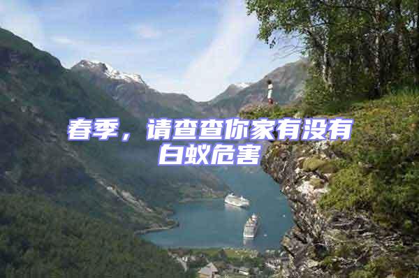 春季,請查查你家有沒有白蟻危害