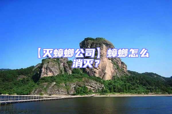 【滅蟑螂公司】蟑螂怎么消滅？