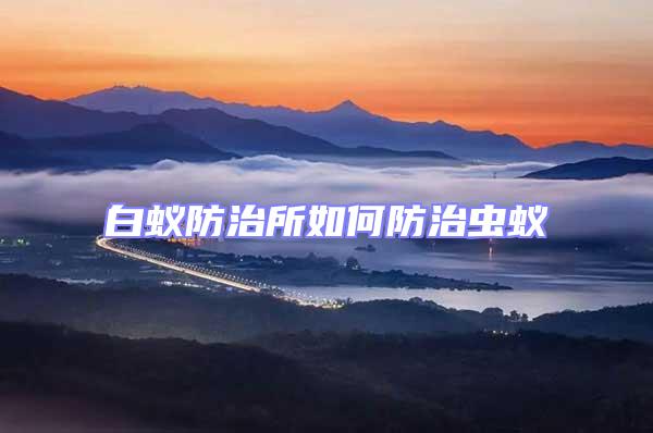 白蟻防治所如何防治蟲蟻
