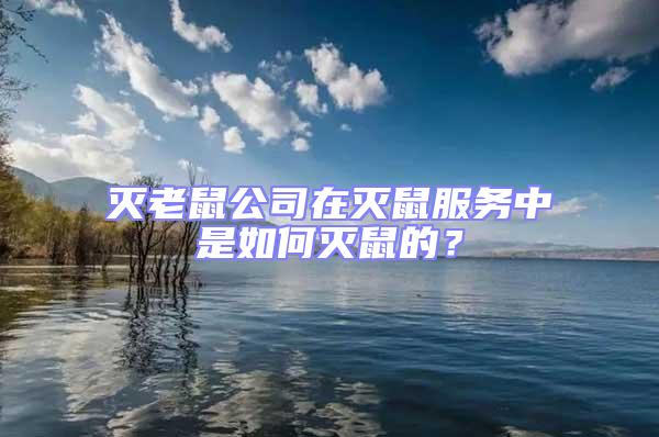 滅老鼠公司在滅鼠服務中是如何滅鼠的?