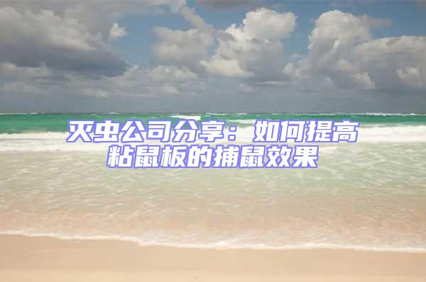 滅蟲公司分享:如何提高粘鼠板的捕鼠效果
