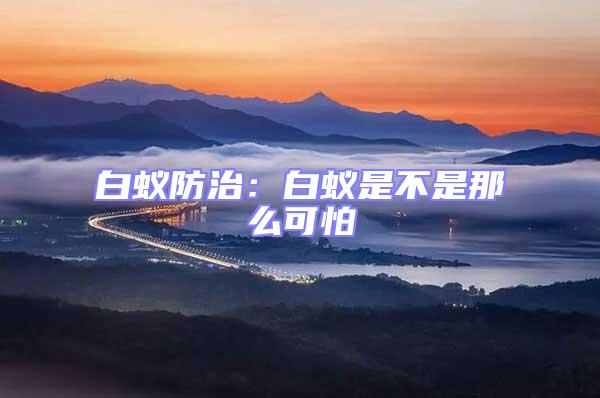 白蟻防治:白蟻是不是那么可怕