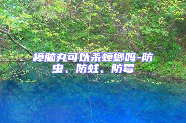 樟腦丸可以殺蟑螂嗎-防蟲、防蛀、防霉