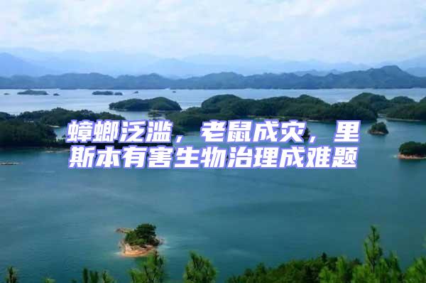 蟑螂泛濫,老鼠成災(zāi),里斯本有害生物治理成難題