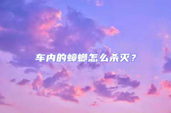車內的蟑螂怎么殺滅?