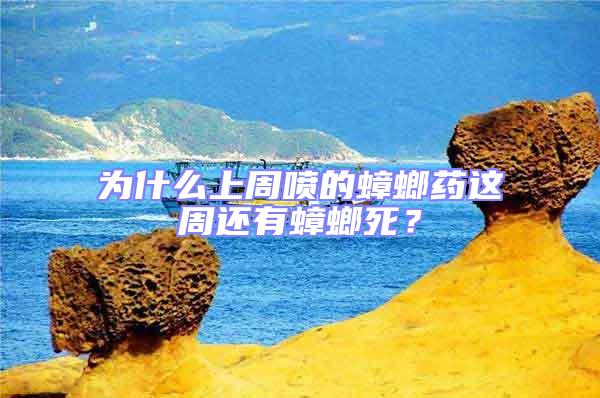 為什么上周噴的蟑螂藥這周還有蟑螂死？