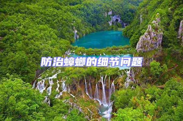 防治蟑螂的細節問題