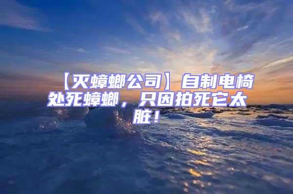 【滅蟑螂公司】自制電椅處死蟑螂，只因拍死它太臟！