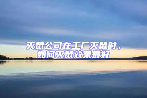 滅鼠公司在工廠滅鼠時，如何滅鼠效果最好