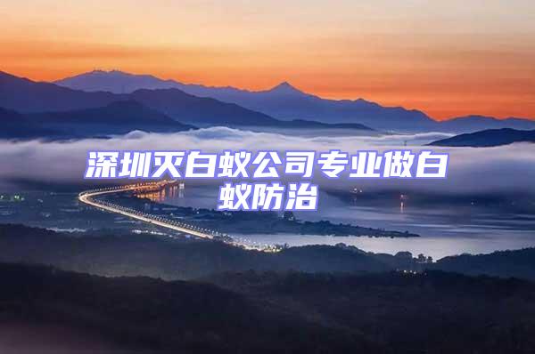 深圳滅白蟻公司專(zhuān)業(yè)做白蟻防治