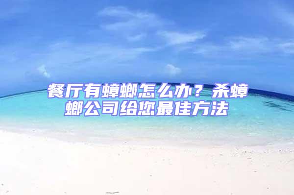 餐廳有蟑螂怎么辦？殺蟑螂公司給您最佳方法