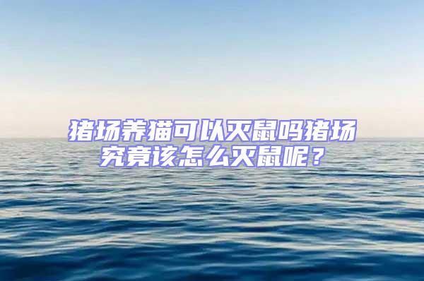 豬場養(yǎng)貓可以滅鼠嗎豬場究竟該怎么滅鼠呢?