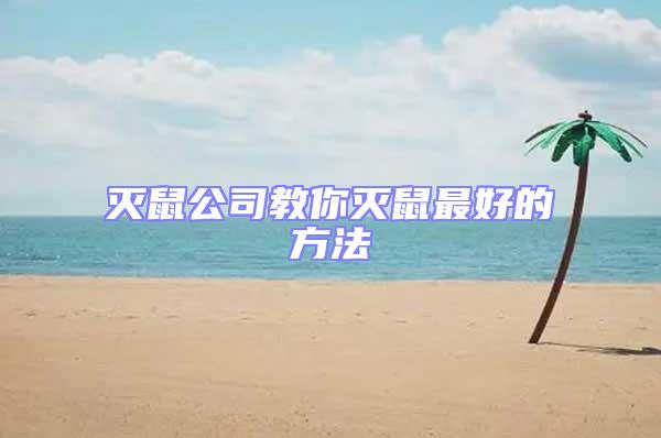 滅鼠公司教你滅鼠最好的方法