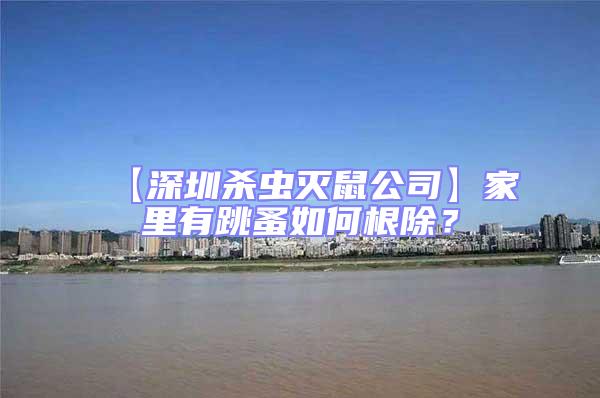 【深圳殺蟲(chóng)滅鼠公司】家里有跳蚤如何根除？