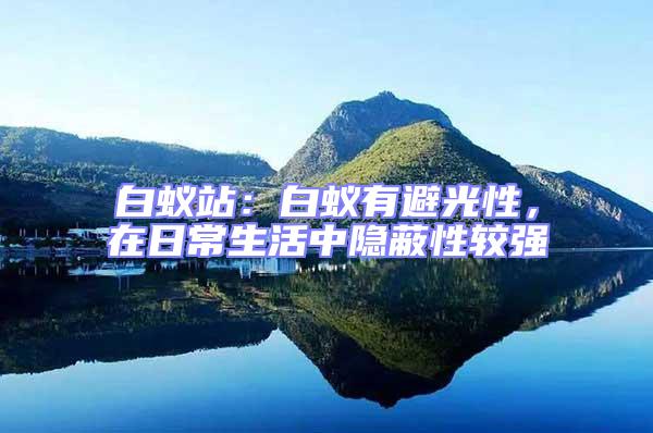 白蟻站:白蟻有避光性,在日常生活中隱蔽性較強