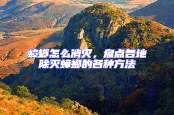 蟑螂怎么消滅，盤點各地除滅蟑螂的各種方法