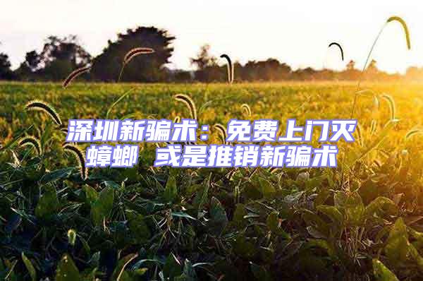 深圳新騙術(shù):免費上門滅蟑螂 或是推銷新騙術(shù)