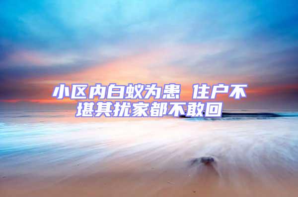 小區內白蟻為患 住戶不堪其擾家都不敢回