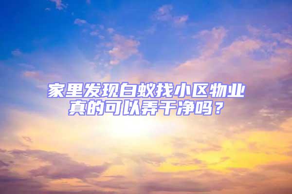 家里發現白蟻找小區物業真的可以弄干凈嗎？