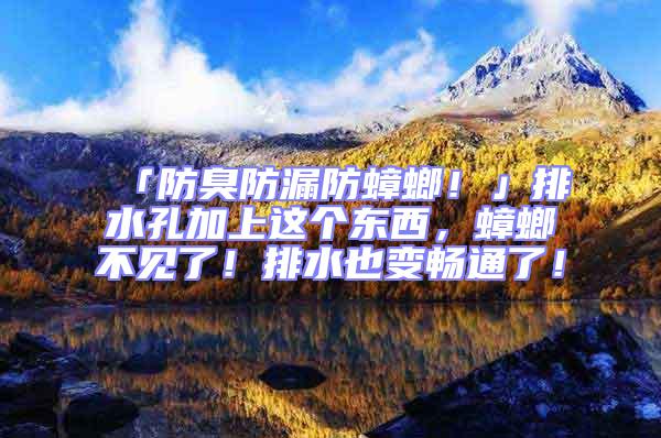 「防臭防漏防蟑螂!」排水孔加上這個東西,蟑螂不見了!排水也變暢通了!