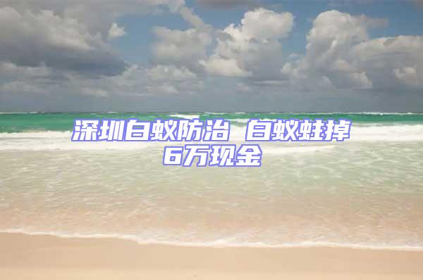 深圳白蟻防治 白蟻蛀掉6萬現金