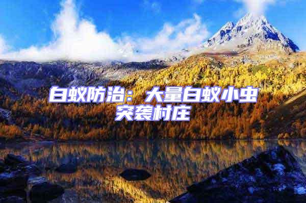 白蟻防治：大量白蟻小蟲突襲村莊