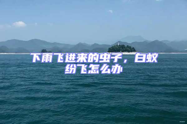 下雨飛進(jìn)來(lái)的蟲子,白蟻紛飛怎么辦