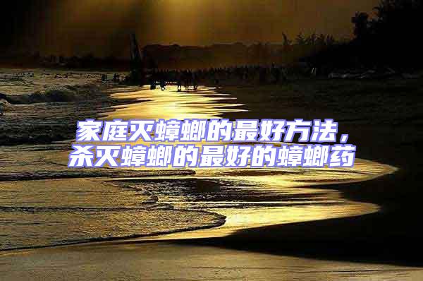 家庭滅蟑螂的最好方法,殺滅蟑螂的最好的蟑螂藥