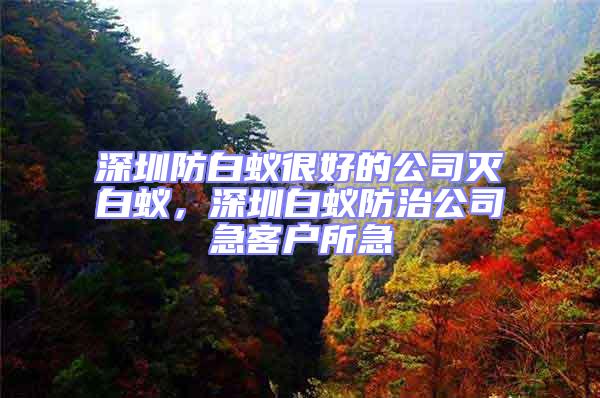 深圳防白蟻很好的公司滅白蟻，深圳白蟻防治公司急客戶所急