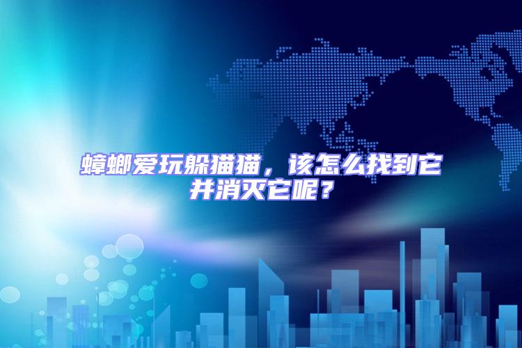蟑螂愛玩躲貓貓，該怎么找到它并消滅它呢？