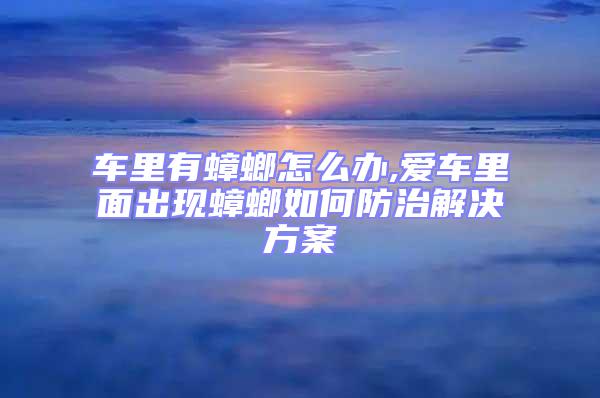 車?yán)镉畜朐趺崔k,愛車?yán)锩娉霈F(xiàn)蟑螂如何防治解決方案