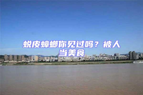 蛻皮蟑螂你見過嗎？被人當美食