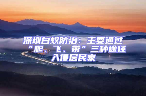 深圳白蟻防治：主要通過“爬、飛、帶”三種途徑入侵居民家