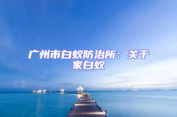 廣州市白蟻防治所:關(guān)于家白蟻