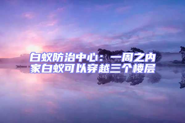 白蟻防治中心:一周之內(nèi)家白蟻可以穿越三個樓層